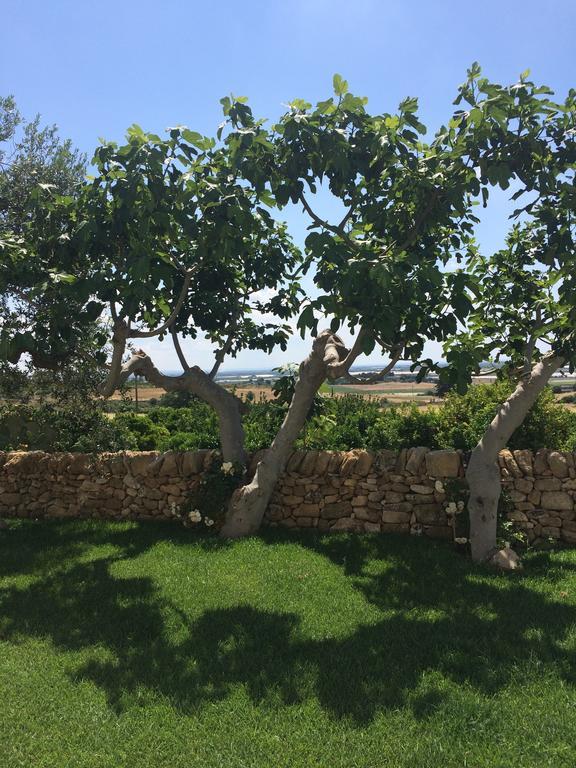 Trullo Del Cavaliere Delle Gravine Villa Castellaneta Exterior foto